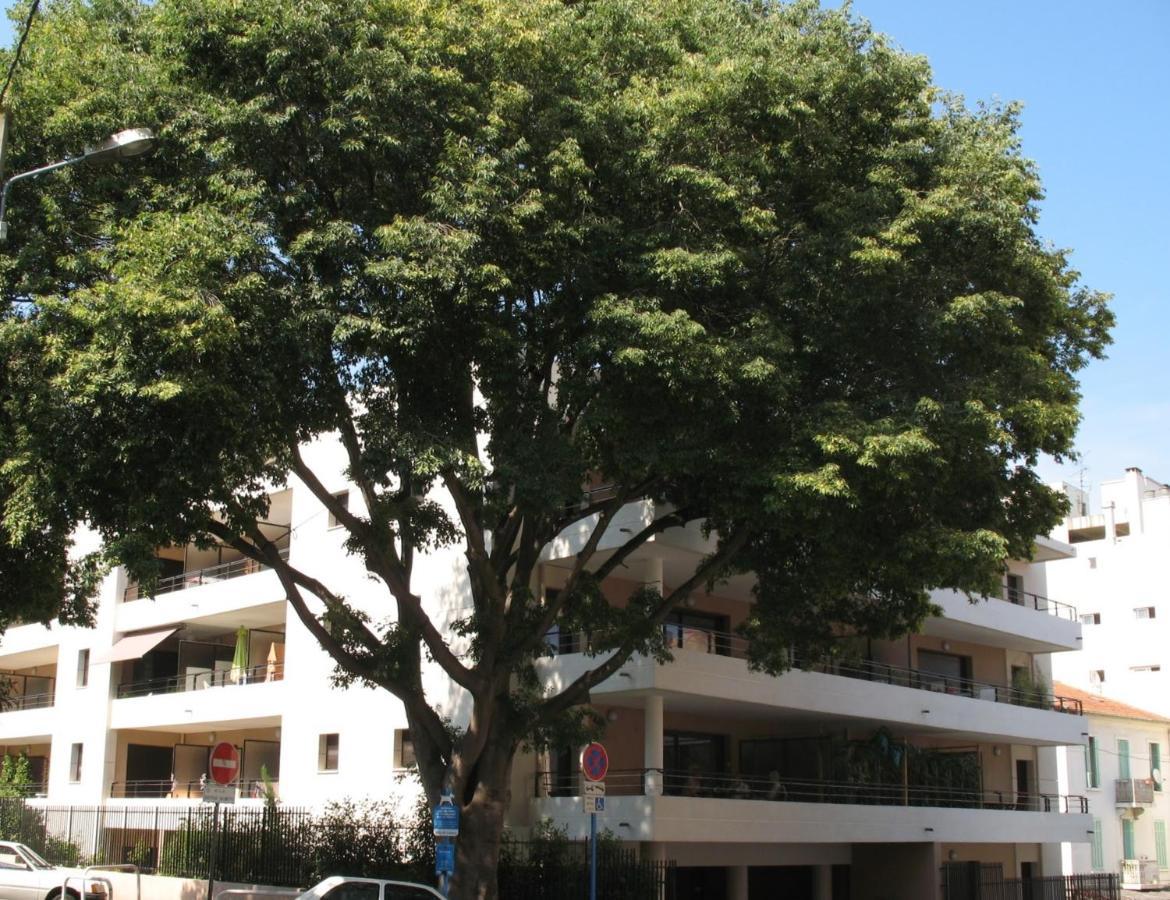 Spacious Luxury Apt, 12 Min Walk To Croisette Beach And Conf Centre Κάννες Εξωτερικό φωτογραφία